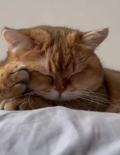 It has made me sleepy too