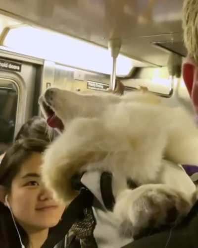 Napping on the subway