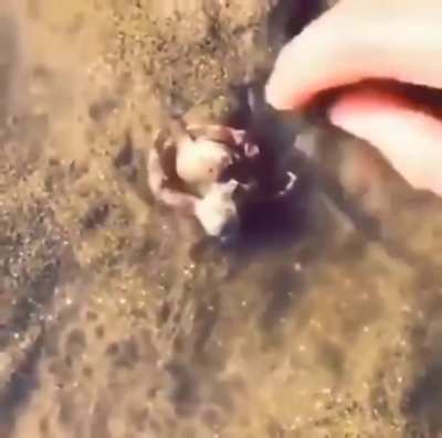 Не обижай братишку!
