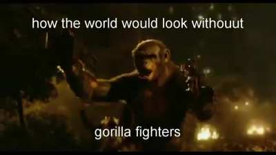 monkey!!!