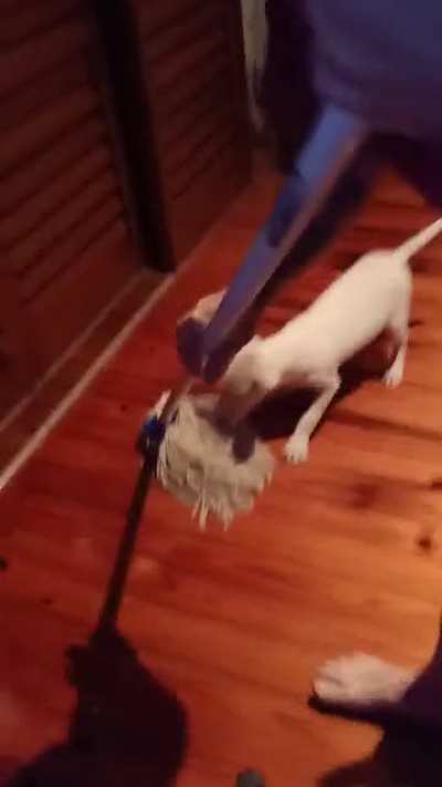 If you want a really shiny floor, you just can't beat buffing with a bully...👍