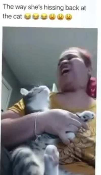 Cat went 😳