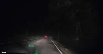 [oc] had to slow down for a deer, person that had been tailgating me for miles decided to go around despite me honking trying to warn them&hellip;poor deer
