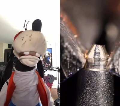 Gawrsh! (credits: Brock Baker)