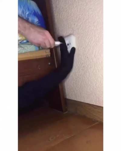 me irl