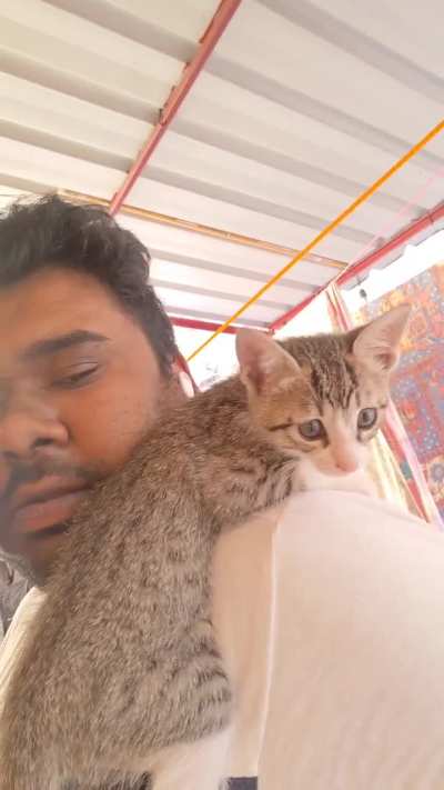 Shoulder ride with a small suprise appearance.
