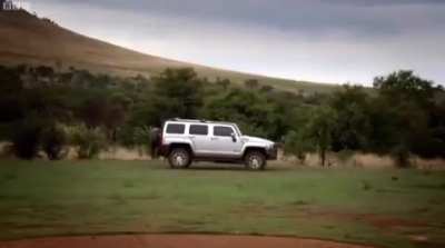 the hummer