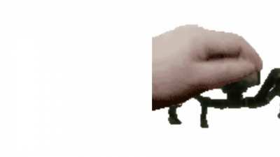 Pet the turret