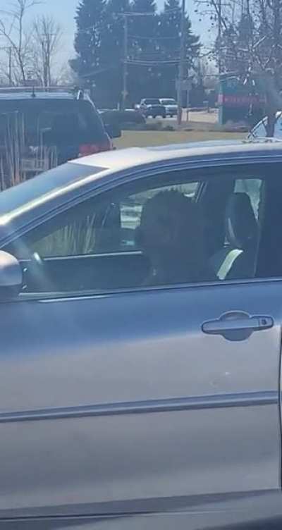 This dog thinks he can drive. (OC)