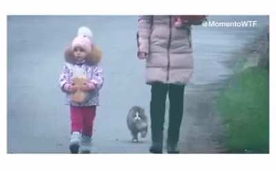Don&rsquo;t even try to sneak up on ninja cat
