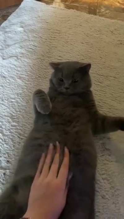 no more belly rubs