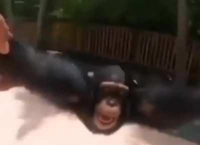 👌