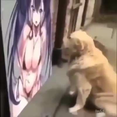 Lo pongo NSFW?
