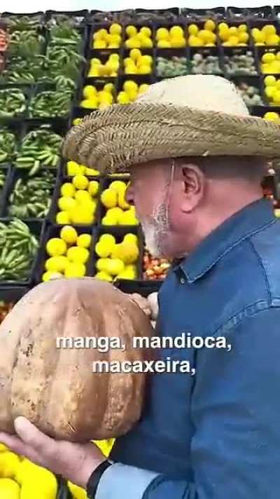 As vozes n&atilde;o param