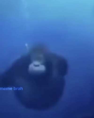 Alguien sabe donde esta sea banana