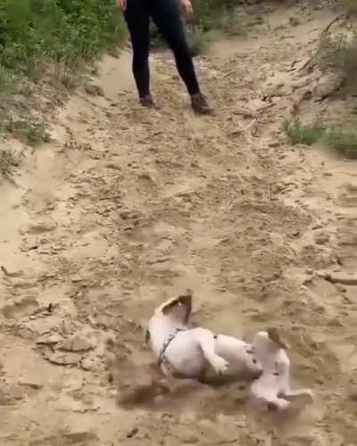 to resist the urge