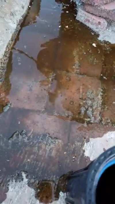 Mi gente, el agua de calle viene con sedimento, coloquen filtros para evitar esto, hay que cuidarnos gente, el video lo tome del tinaco de mi casa, zona oblatos pero el agua directa de la llave de paso est&aacute; igual de sucia.