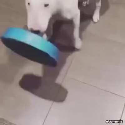 These innovative dog bowls