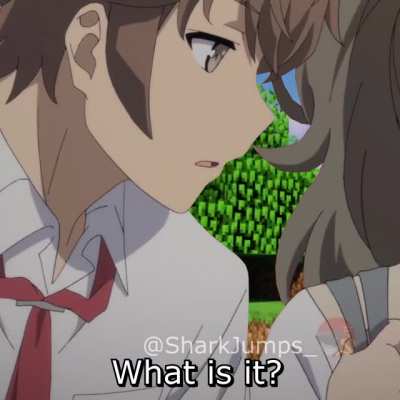 Rascal Does Not Dream of Minecraft 5