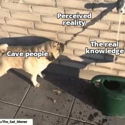 This meme will die