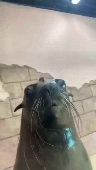 Emoji 😬