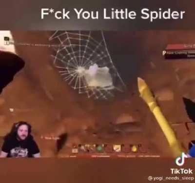 Fuck spiders