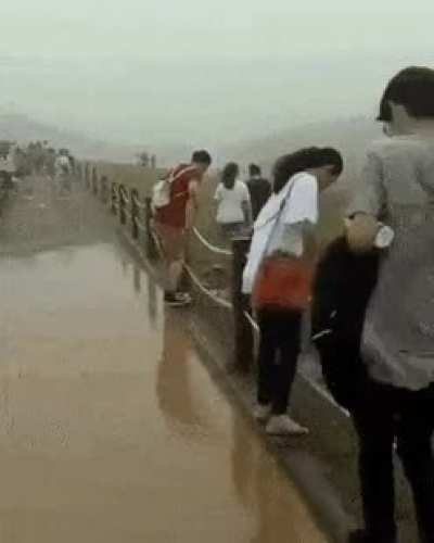 should have just walked around the puddle