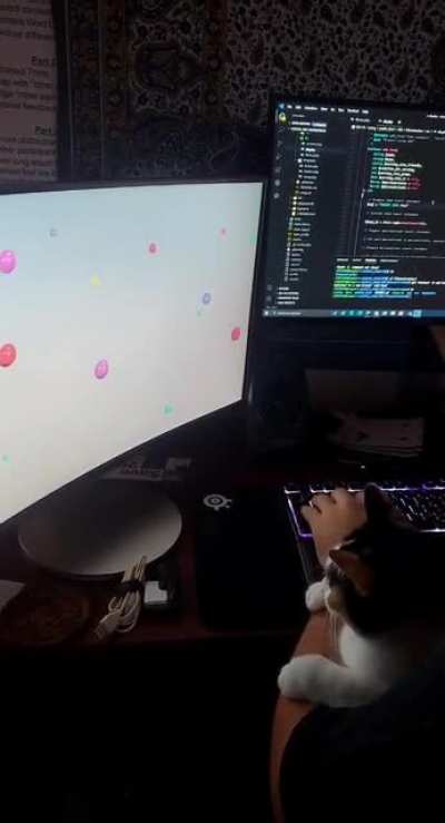 She watches "Stimulating TV for Cats" while her study buddy works.