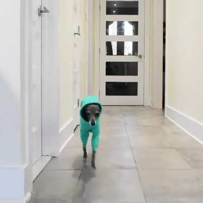 Fashion model