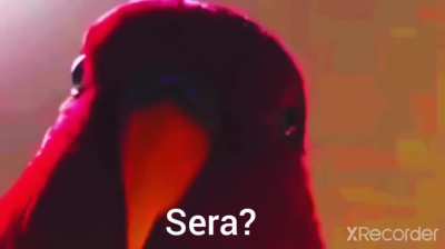 HUe HUe HUe HUe