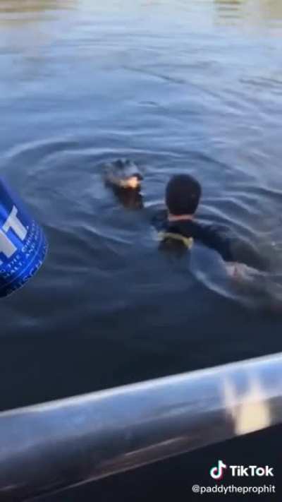 Nothing to see here.. just a guy swimming with his strange looking dog