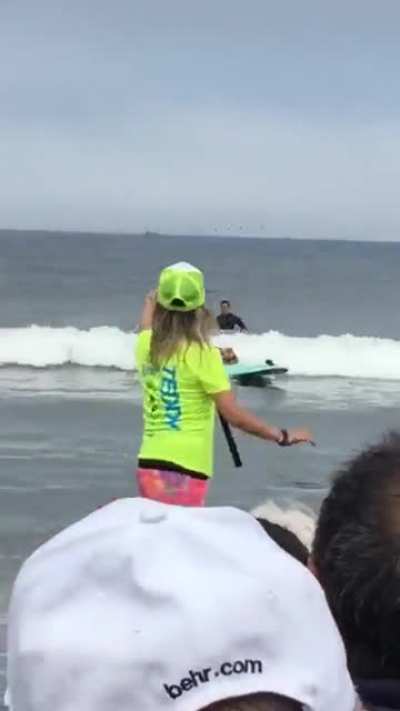 Surfing Dogs Collide And End Up On Same Board .