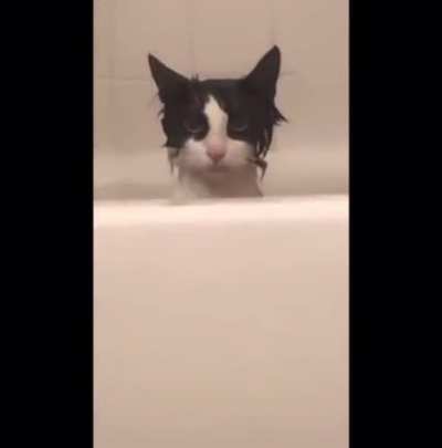 &ldquo;I&rsquo;ve been given a bath against my will&rdquo; *Initiate assassination protocols*