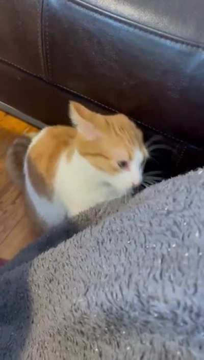 mlep mlep