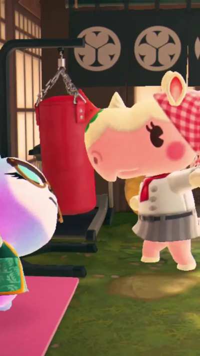 I caught Merengue and Judy in their workout session 😳