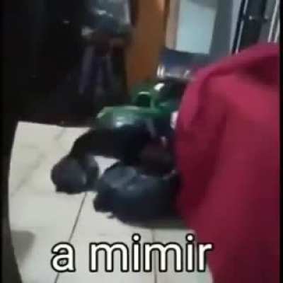 Sil&ecirc;ncio estou a mimir