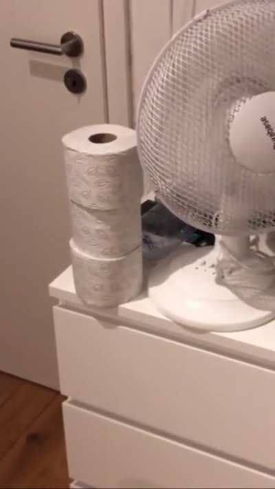A duel between table fan and toilet paper rolls