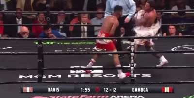 Gervonta &ldquo;Tank&rdquo; Davis drops Gamboa 3 times to finish him in the 12th round