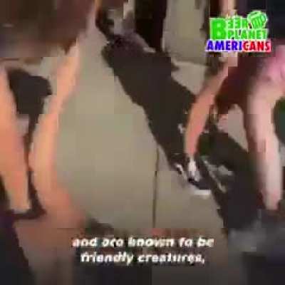 Americans