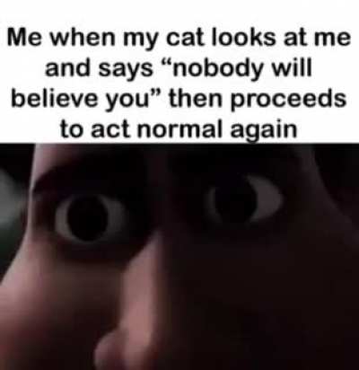 blursed_cat
