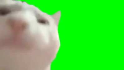 Me vibin rn [OC]