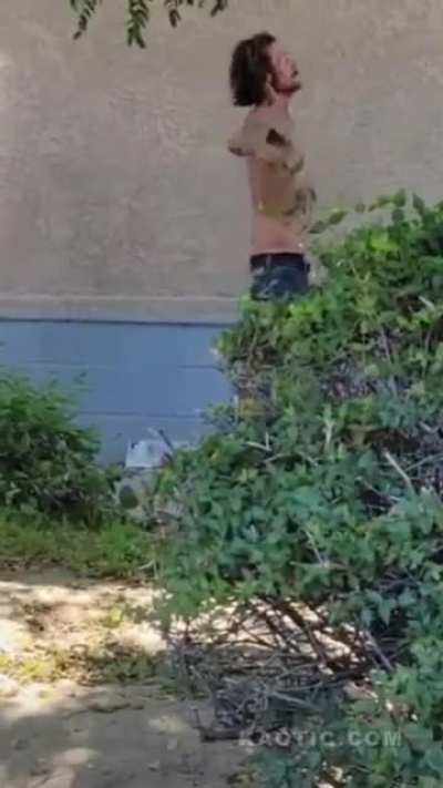 Meth Shanty