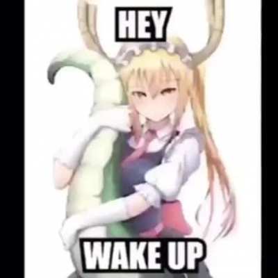 XD