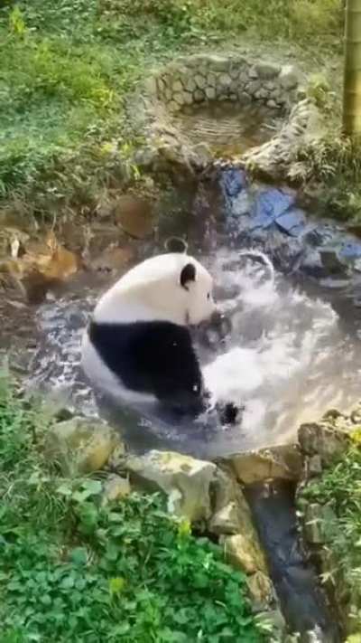 an oreo bear taking a bath