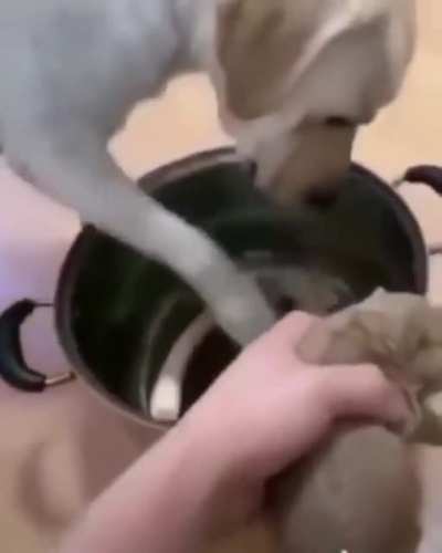 :(