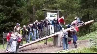 Elderly Seesaw