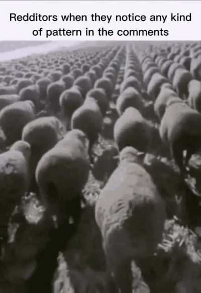 🗿