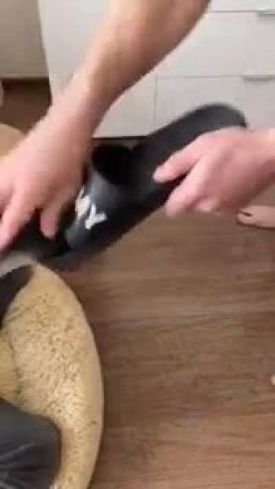 OMG!