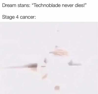 Dream stans be like