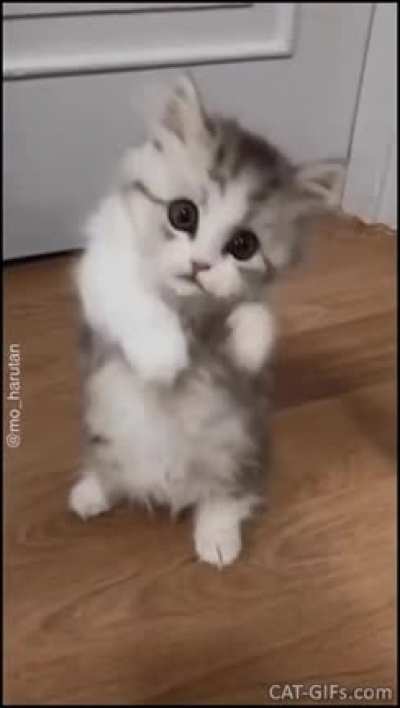 Touch Tha cutie
